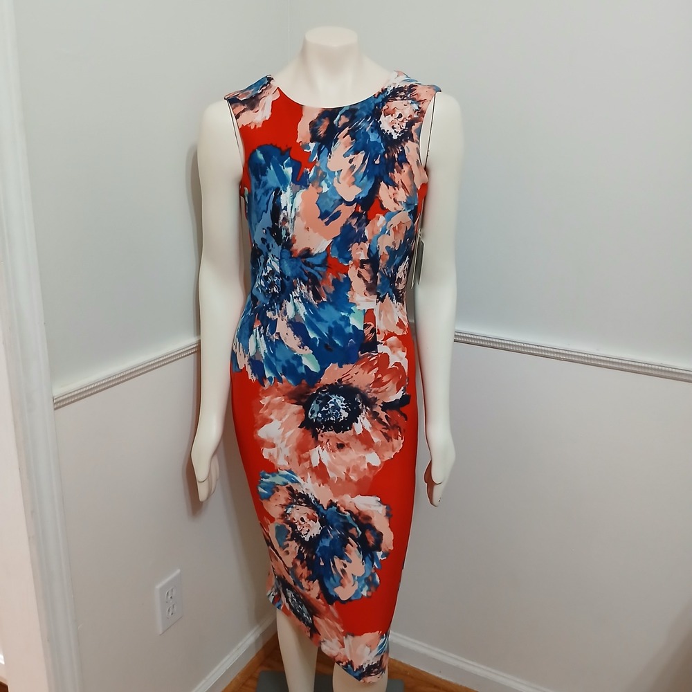 Julian Taylor New York Red Blue Floral Dress Women's Size 8 NWT
